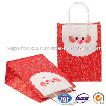 Kraft Paper Bag (FXS-253)